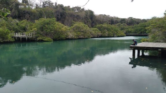The still green water of the Laguna de las Ninfas ringed by mangroves and dry forest, a person sitting at the end of a wooden dock on the right and boardwalks on the far bank